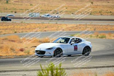 media/Oct-05-2024-Extreme Speed (Sat) [[dcd4a721fe]]/Low Inter/Session 2 (Turns 4 5 and 6)/